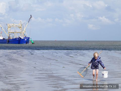 Texelcamping Loodsmansduin - Texel - Image N°17
