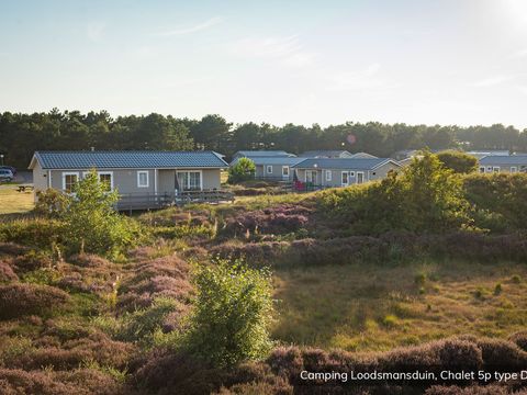 Texelcamping Loodsmansduin - Texel - Image N°9