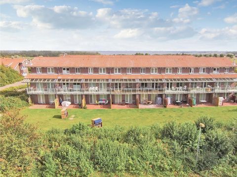 Novasol Hohen Wieschendorf - Camping Mecklenburg-Vorpommern - Image N°0