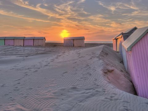 Dormio Resort Berck-sur-Mer - Pas-de-Calais - Image N°9