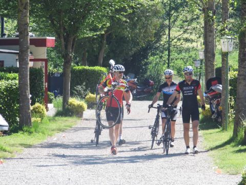 Ferienpark Eifellux - Camping Rheinland-Pfalz - Image N°4