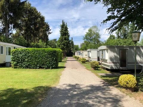 Ferienpark Eifellux - Camping Rheinland-Pfalz - Image N°0
