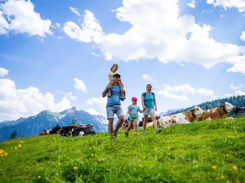 Landal Alpen Chalets Bad Kleinkirchheim - Kärnten