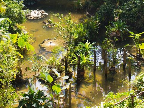 Tropical Islands Resort - Brandenburg - Image N°41