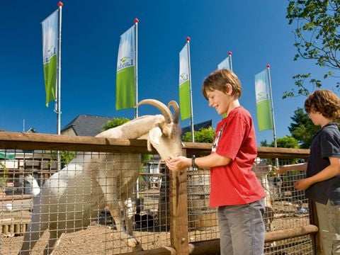 Landal Mont Royal - Camping Rheinland-Pfalz - Image N°5