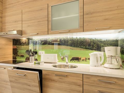 Center Parcs Park Allgäu  - Bayern - Image N°3