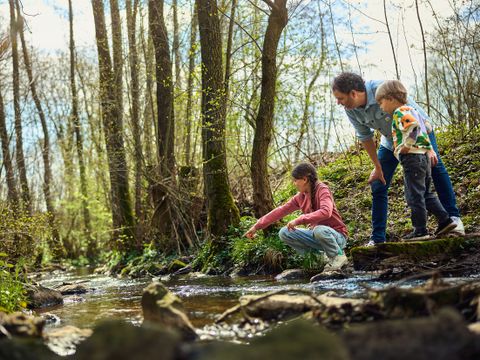 Center Parcs Park Hochsauerland - Nordrhein-Westfalen - Image N°56