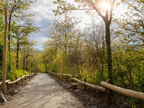 Center Parcs Park Hochsauerland - Nordrhein-Westfalen - Image N°50