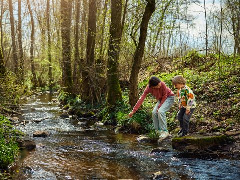 Center Parcs Park Hochsauerland - Nordrhein-Westfalen - Image N°55