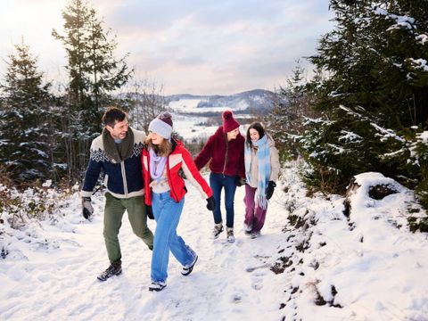 Center Parcs Park Hochsauerland - Nordrhein-Westfalen - Image N°2