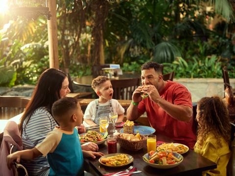 Center Parcs Park Hochsauerland - Nordrhein-Westfalen - Image N°4