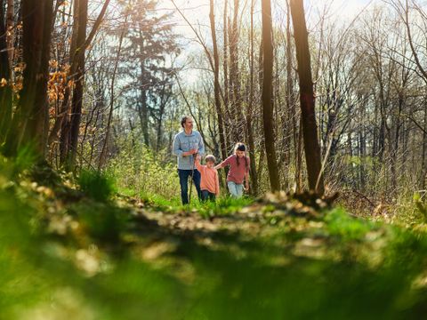 Center Parcs Park Hochsauerland - Nordrhein-Westfalen - Image N°4