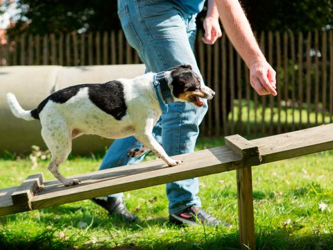 Landal Dwergter Sand - Niedersachsen
