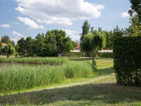 Resort Boschmolenplas - Camping Maasgouw - Image N°2