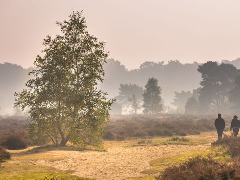 Park Berkenrhode - Ede - Image N°2