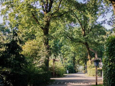 Park Berkenrhode - Ede - Image N°5