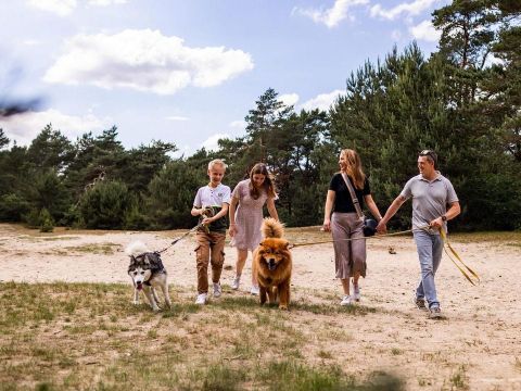 Park Berkenrhode - Ede - Image N°3