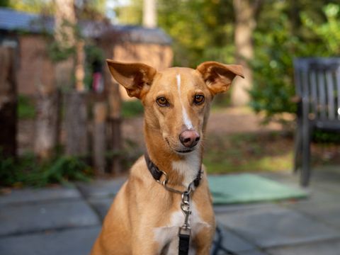 Recreatiepark De Paalberg - Ermelo