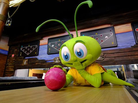 Park Molenheide - Belgisches Limburg