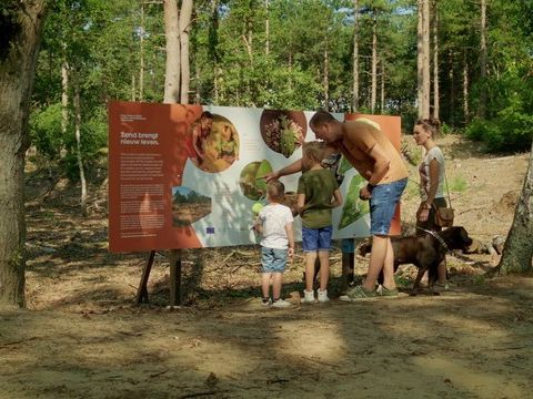 Park Molenheide - Belgisches Limburg