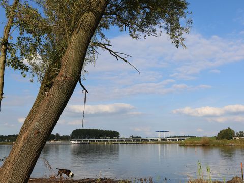 EuroParcs Bad Hulckesteijn - Nijkerk - Image N°30
