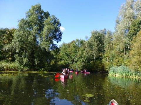 EuroParcs Bad Hulckesteijn - Nijkerk - Image N°33