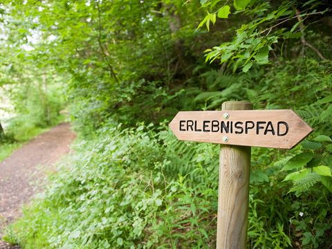 Ferienpark Ronshausen - Camping Hessen - Image N°3