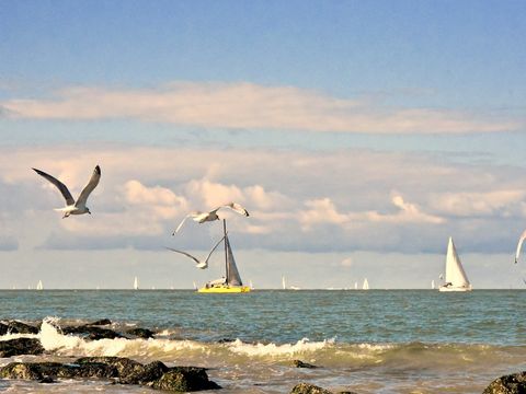 Holiday Suites Westende - Westflandern - Image N°12
