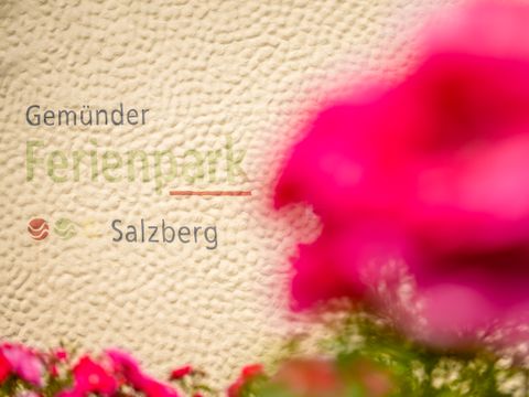 Gemünder Ferienpark Salzberg - Rheinland-Pfalz - Image N°28