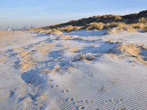 Holiday Suites Zeebrugge - Westflandern - Image N°23