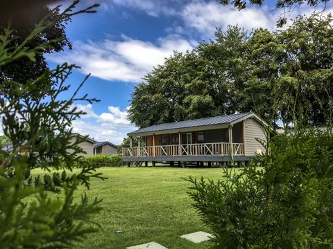 Domaine Moulin d'Hotton - Camping Belgisches Luxemburg - Image N°5
