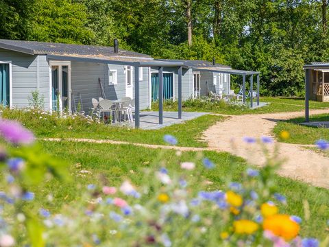 Molecaten Park De Agnietenberg - Camping Zwolle - Image N°0