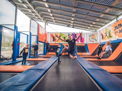 Vakantiepark Ackersate - Camping Barneveld - Image N°3