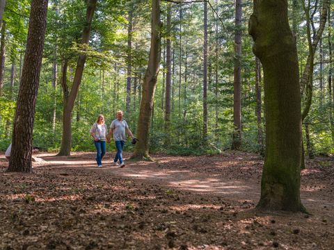 Vakantiepark Ackersate - Barneveld - Image N°45