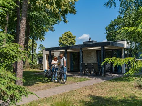 Vakantiepark Ackersate - Camping Barneveld - Image N°5