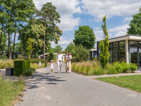 Vakantiepark Ackersate - Camping Barneveld - Image N°0