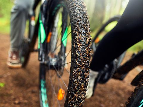 Center Parcs Les Ardennes - Belgisches Luxemburg