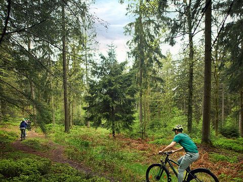 Center Parcs Les Ardennes - Belgisches Luxemburg