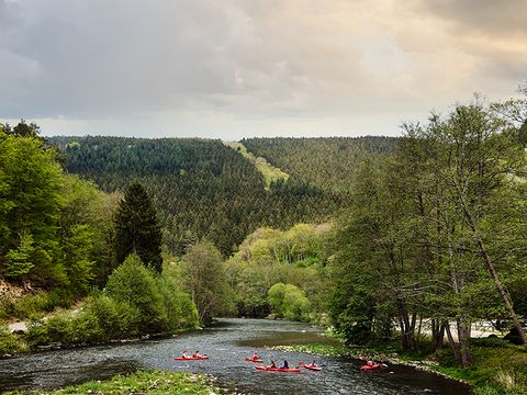 Center Parcs Les Ardennes - Belgisches Luxemburg - Image N°3