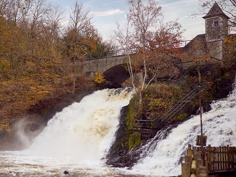 Center Parcs Les Ardennes - Belgisches Luxemburg - Image N°2