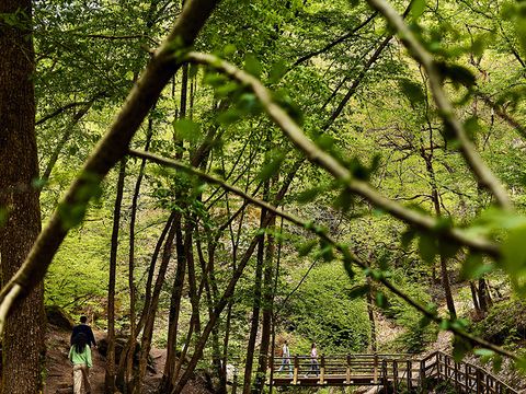 Center Parcs Les Ardennes - Belgisches Luxemburg