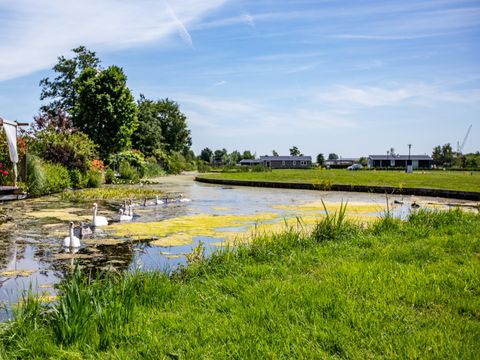 TopParken Parc de IJsselhoeve - Zuidplas - Image N°16