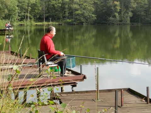 Camping Baalse Hei - Antwerpen