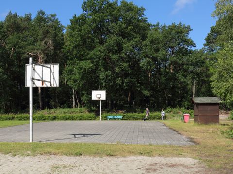 Camping Baalse Hei - Antwerpen