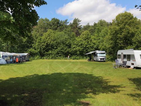 Camping Baalse Hei - Antwerpen - Image N°3