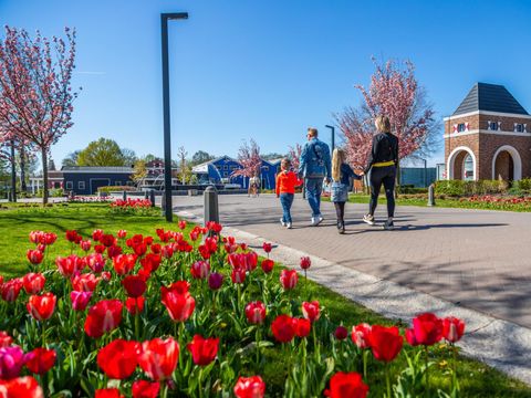 EuroParcs Zuiderzee - Dronten