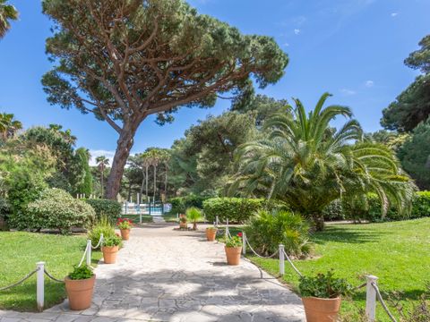 Pierre & Vacances Résidence La Pinède - Var - Image N°2