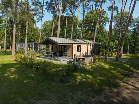 Bospark Markelo - Hof von Twente - Image N°8