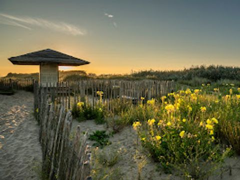 Verblijfpark Beachside - Westflandern - Image N°42