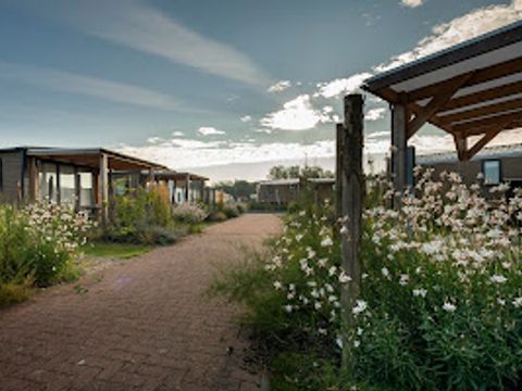 Verblijfpark Beachside - Westflandern - Image N°31
